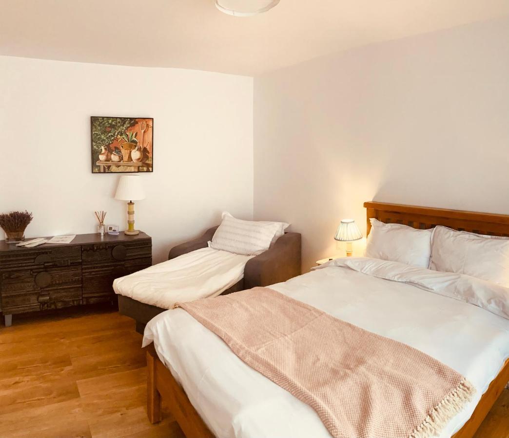 Warm And Cozy Studio Flat Near Straja Uricani  外观 照片